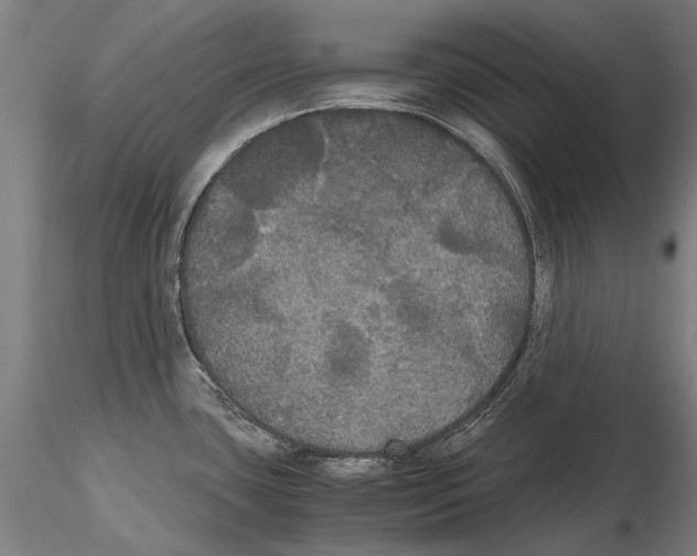 X0000114621435200912010950