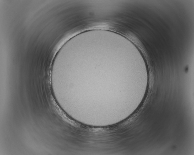 X0000114621436200912010950