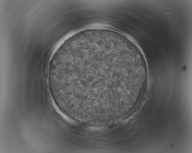 X0000114621437200912010950