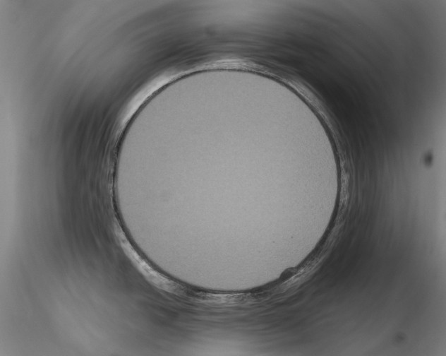 X0000114621438200912010951