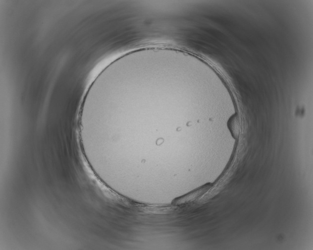 X0000114621440200912010951