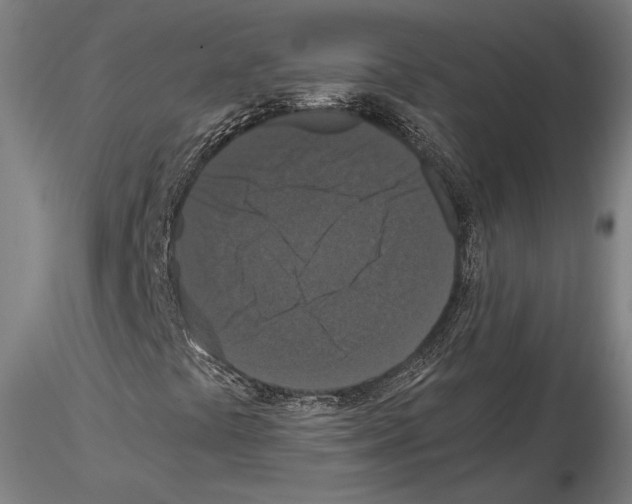 X0000114621441200912010950