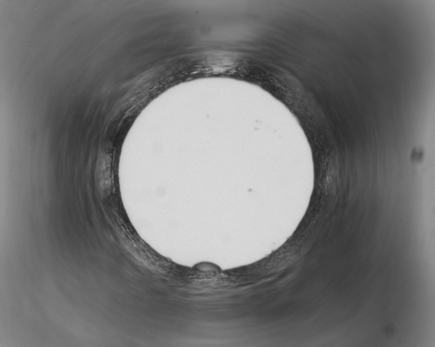 X0000114621442200912010950