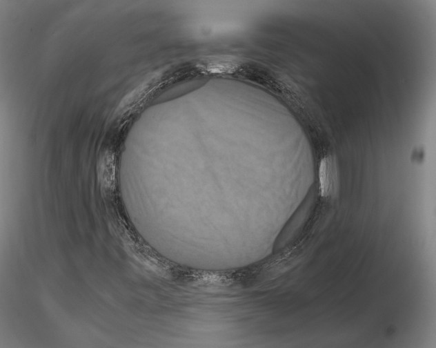 X0000114621443200912010950