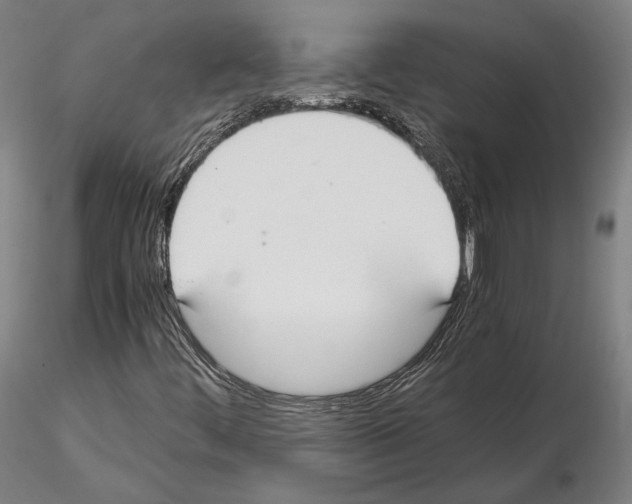 X0000114621444200912010950