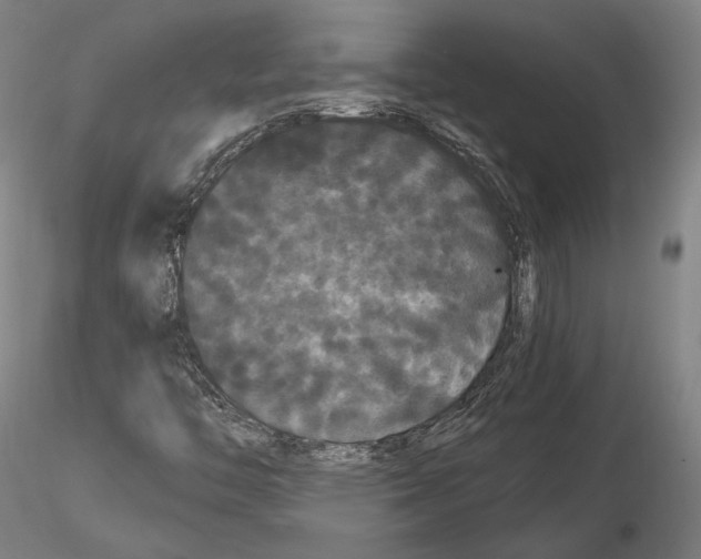 X0000114621446200912010950