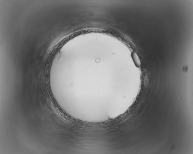 X0000114621448200912010950