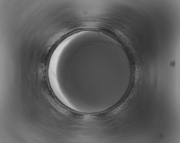 X0000114621449200912010950