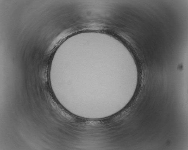 X0000114621451200912010950