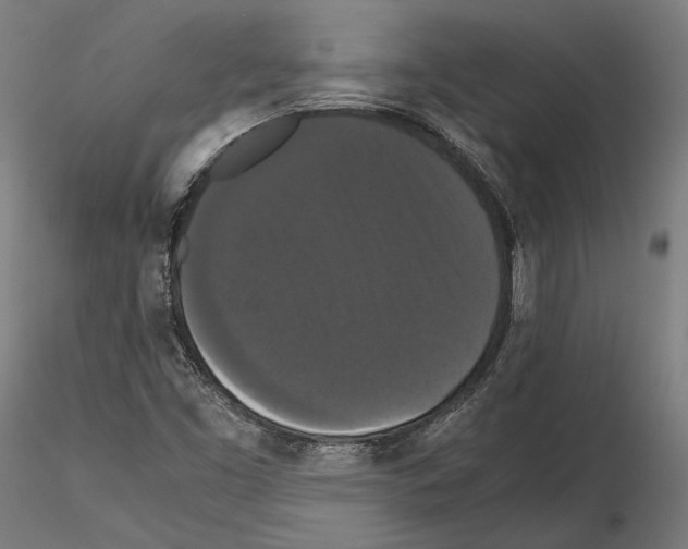 X0000114621453200912010950