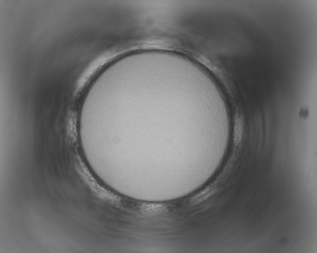 X0000114621454200912010950