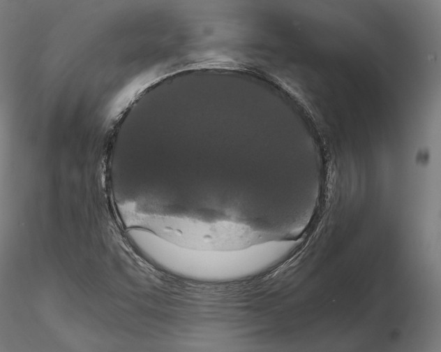 X0000114621455200912010950