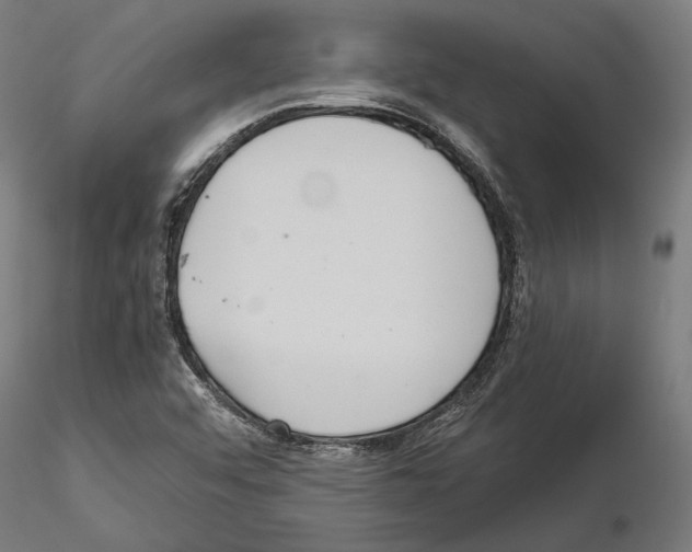 X0000114621456200912010950