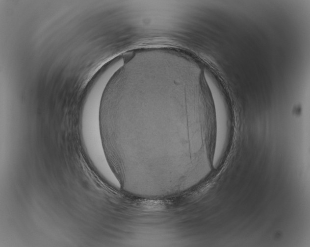 X0000114621457200912010950