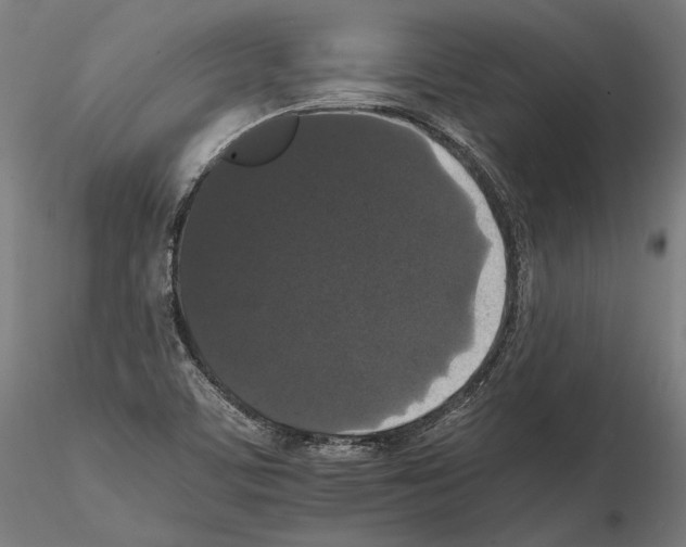 X0000114621459200912010950