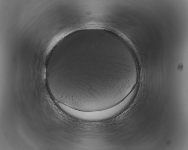 X0000114621461200912010950