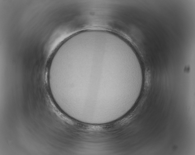 X0000114621462200912010950