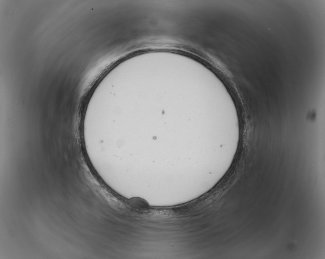 X0000114621464200912010950