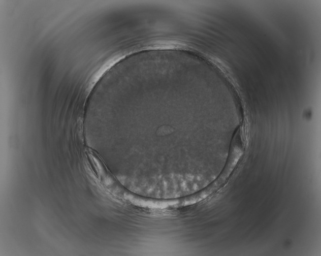 X0000114621465200912010950