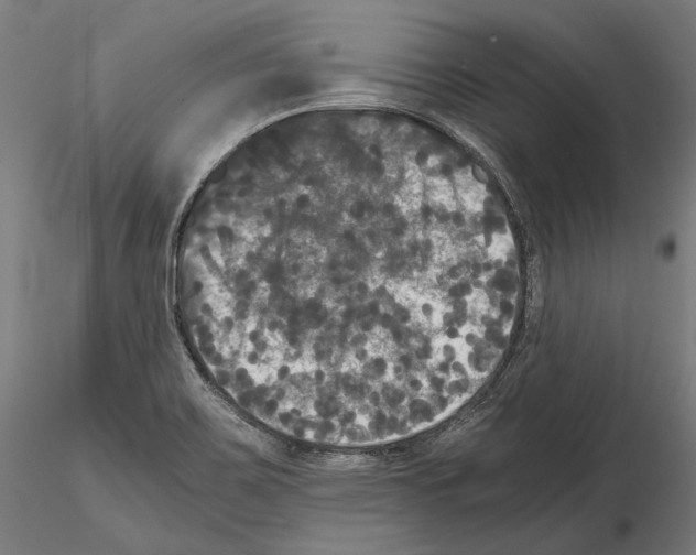 X0000114621467200912010950