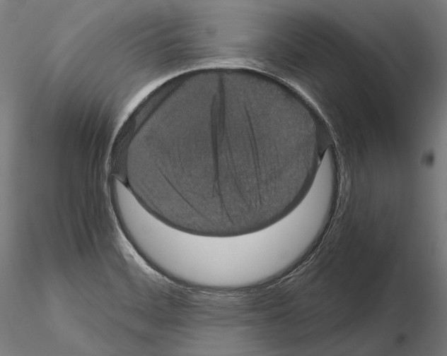 X0000114621468200912010949