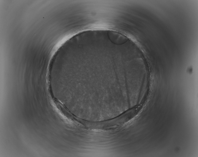 X0000114621469200912010949