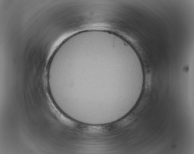 X0000114621470200912010949