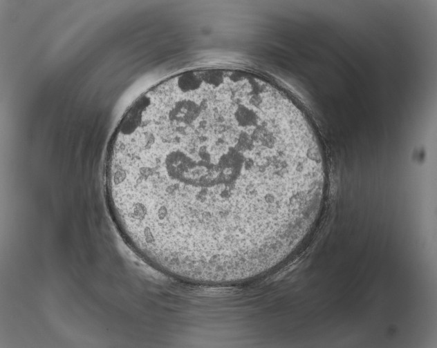 X0000114621471200912010949