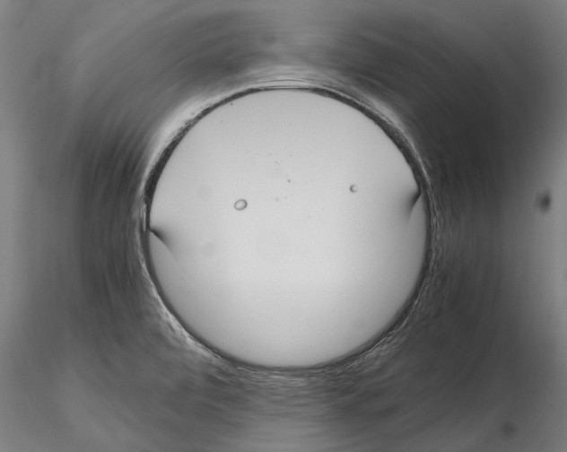 X0000114621472200912010949