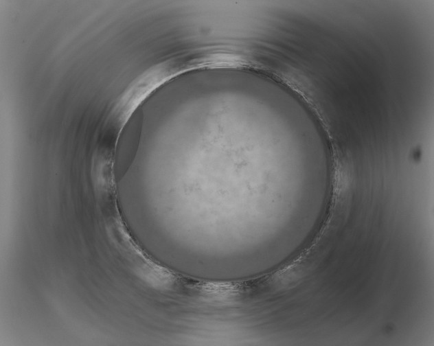 X0000114621473200912010949