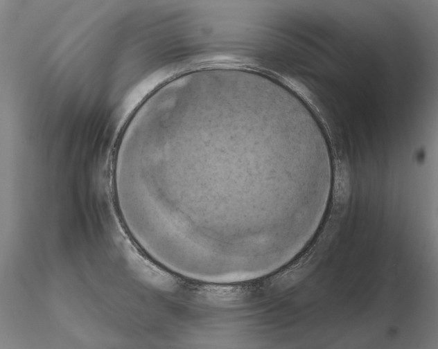 X0000114621474200912010949