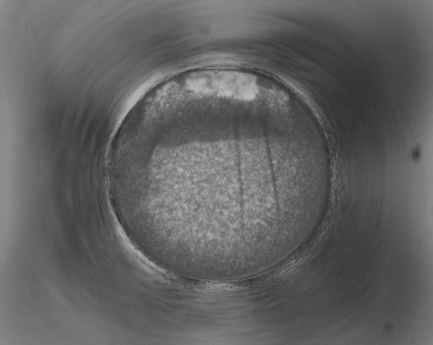 X0000114621475200912010949