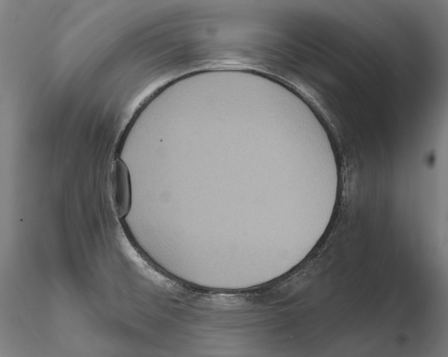 X0000114621476200912010949