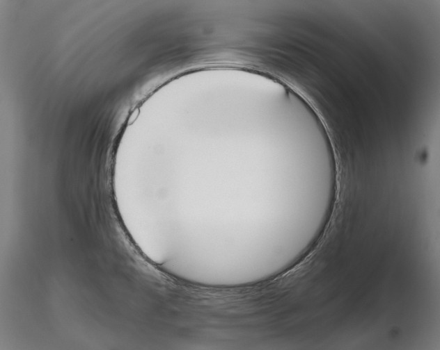 X0000114621477200912010949