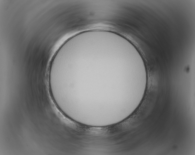 X0000114621478200912010949