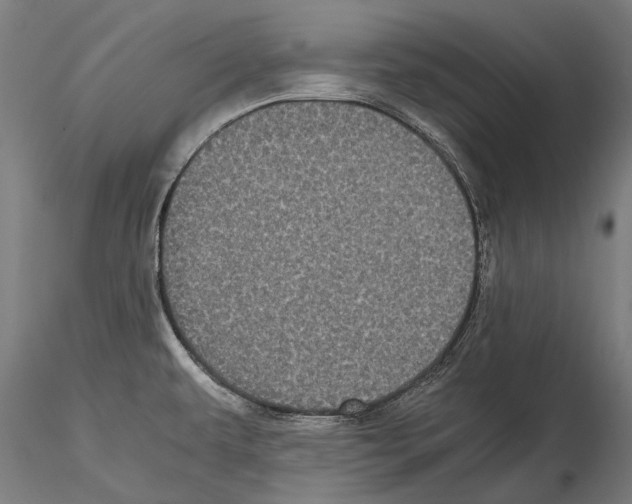 X0000114621479200912010949