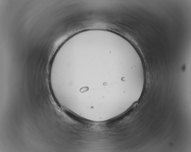 X0000114621480200912010949