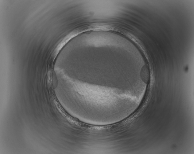 X0000114621481200912010949