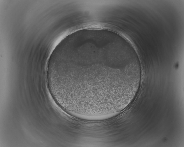 X0000114621483200912010949