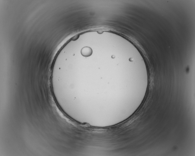 X0000114621484200912010949