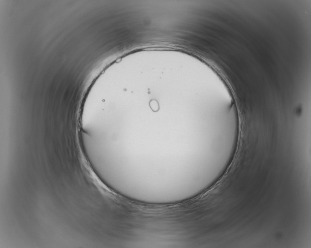 X0000114621485200912010949