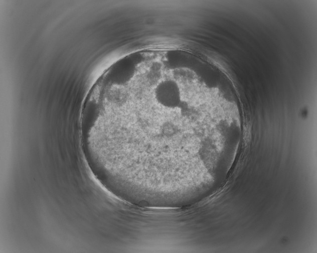 X0000114621487200912010949