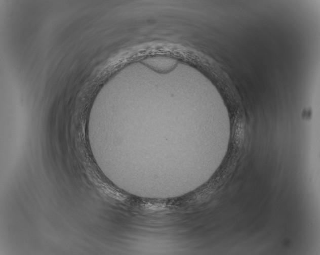 X0000114621489200912010948