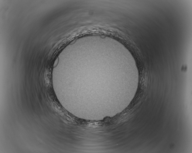 X0000114621490200912010948