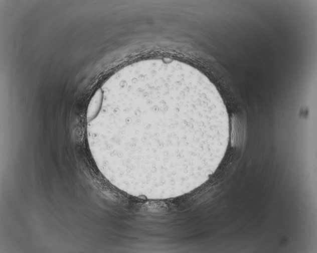 X0000114621491200912010948