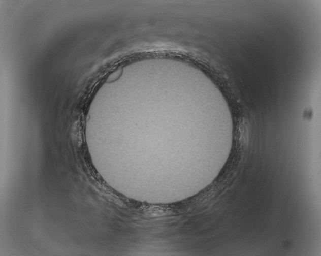 X0000114621493200912010948