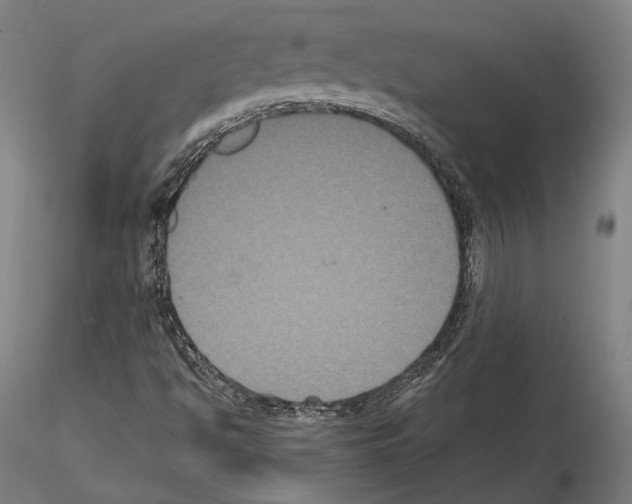 X0000114621494200912010948