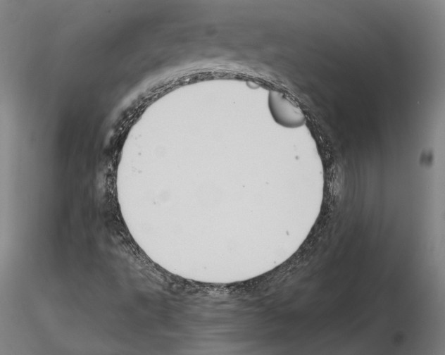 X0000114621495200912010948