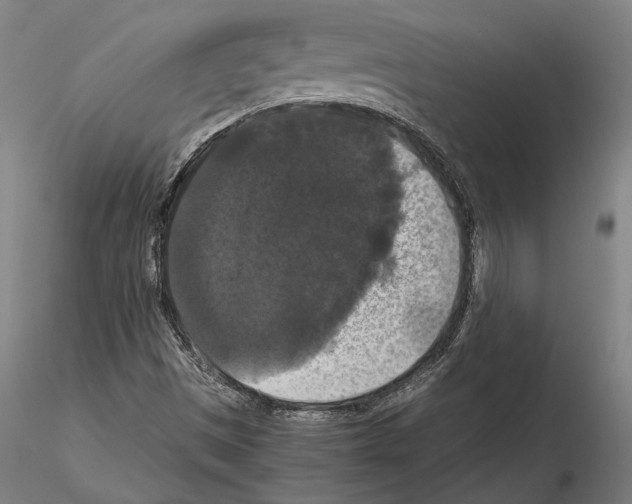 X0000114621497200912010949