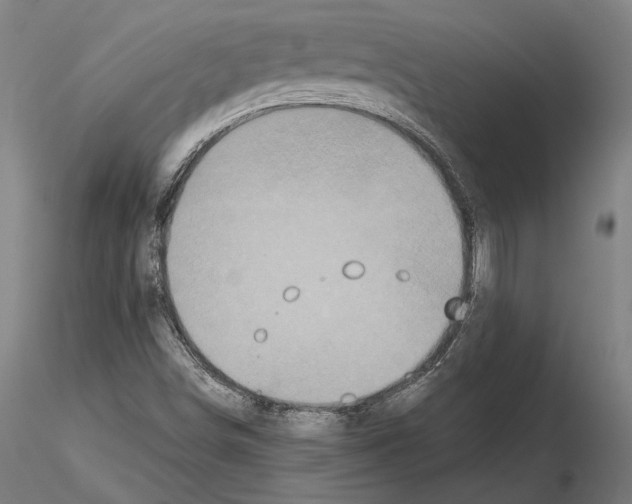 X0000114621498200912010949